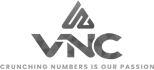 logo vnc copy